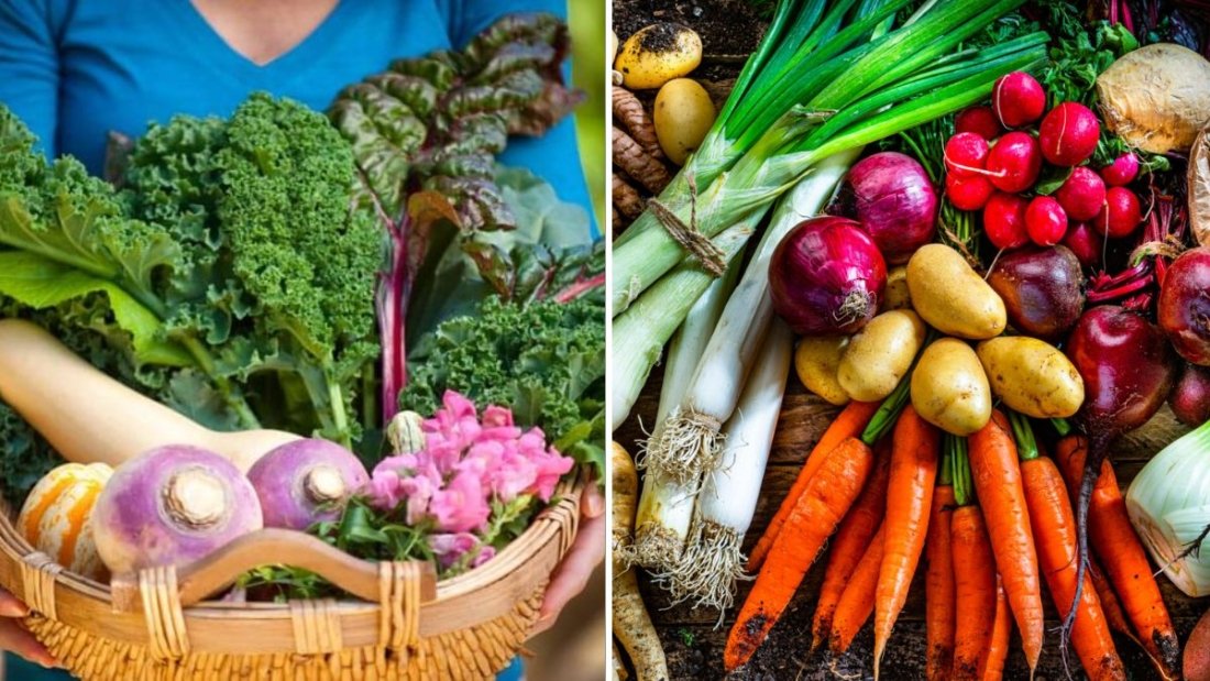 6 Vegetables That Love Cool Spring Weather