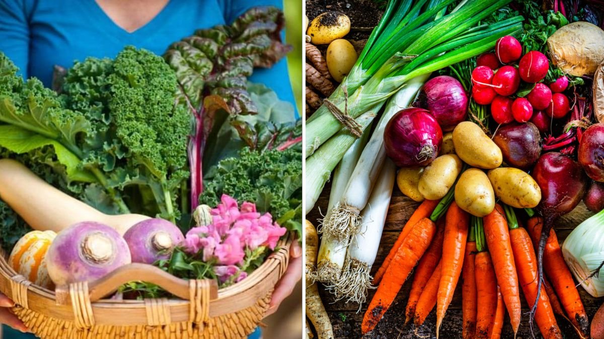 6 Vegetables That Love Cool Spring Weather