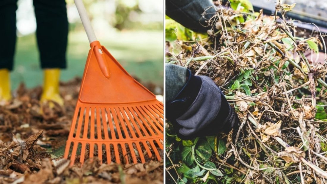 Should You Cover Your Garden Beds in Fall? Experts Explain