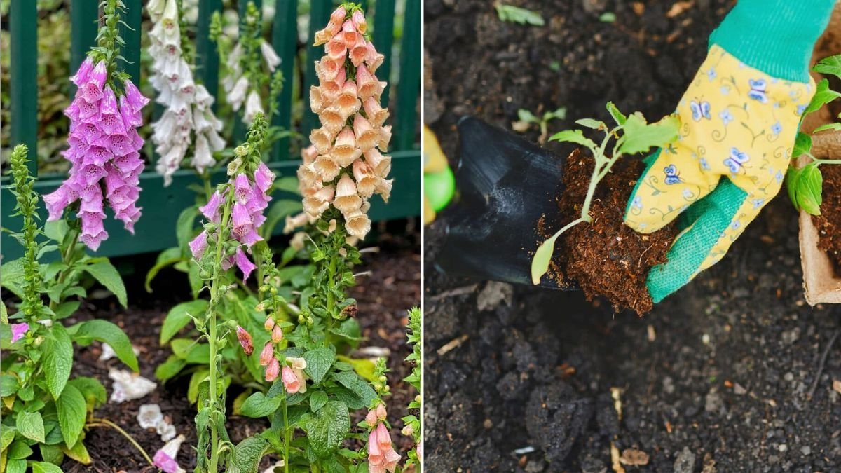 10 Garden Hacks That Save You Money and Time