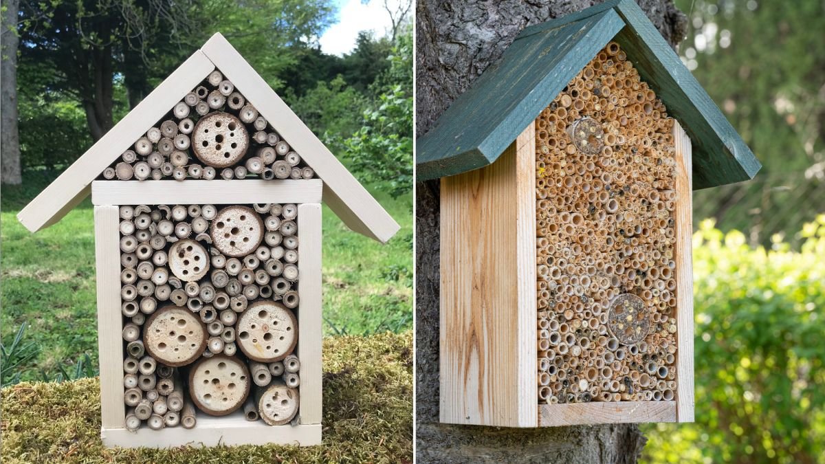 How to Build a Bee Hotel in Your Backyard