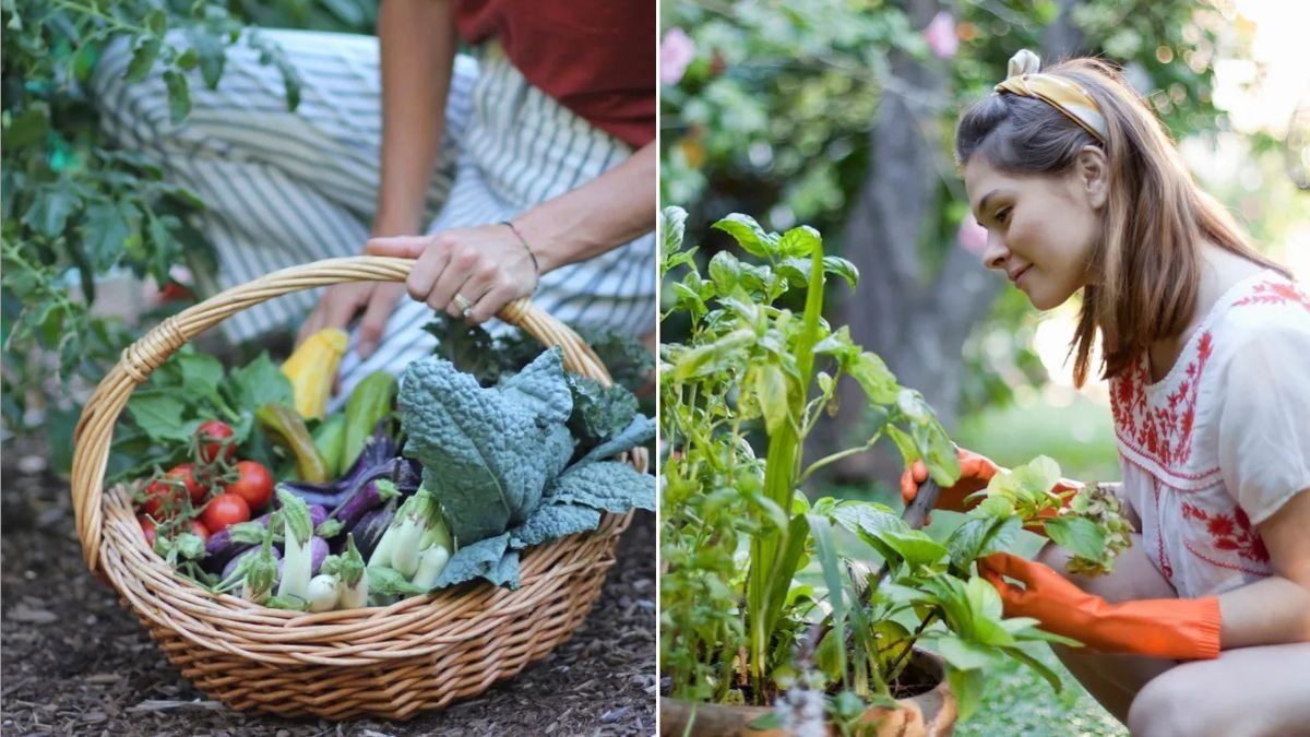 Should You Try Companion Planting? Here’s What Experts Think