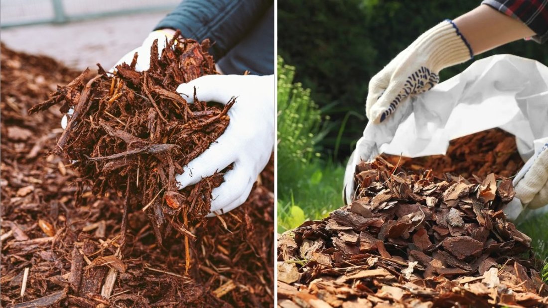 How to Mulch Properly in Winter for Protection