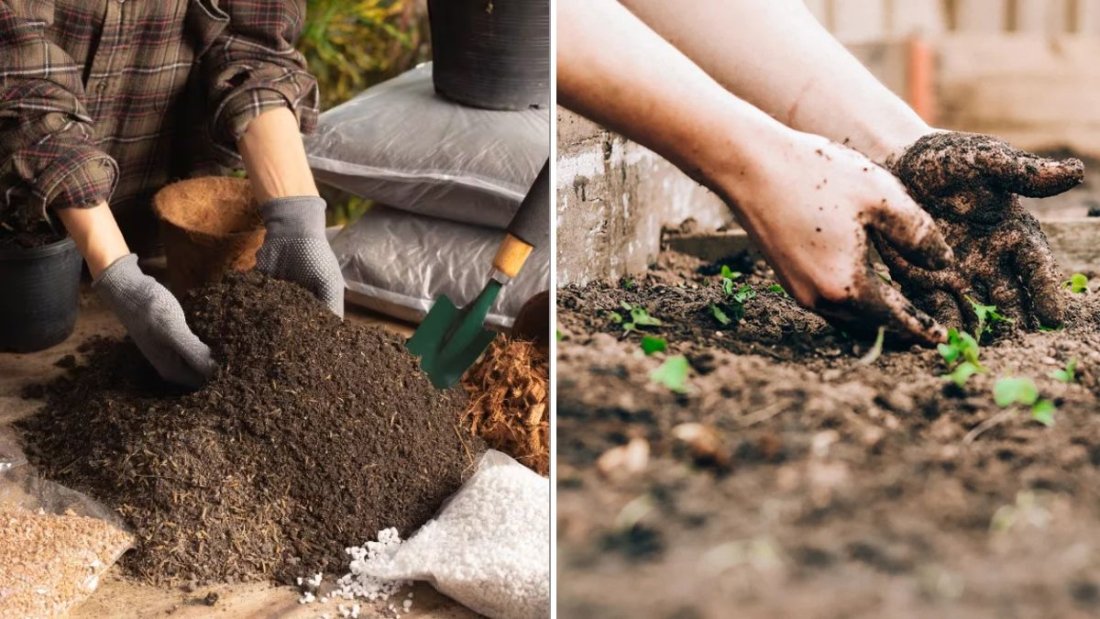 The Best Soil Mix For Growing Root Vegetables