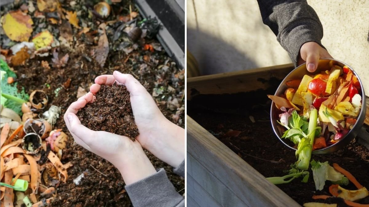 How to Make Compost at Home the Easy Way
