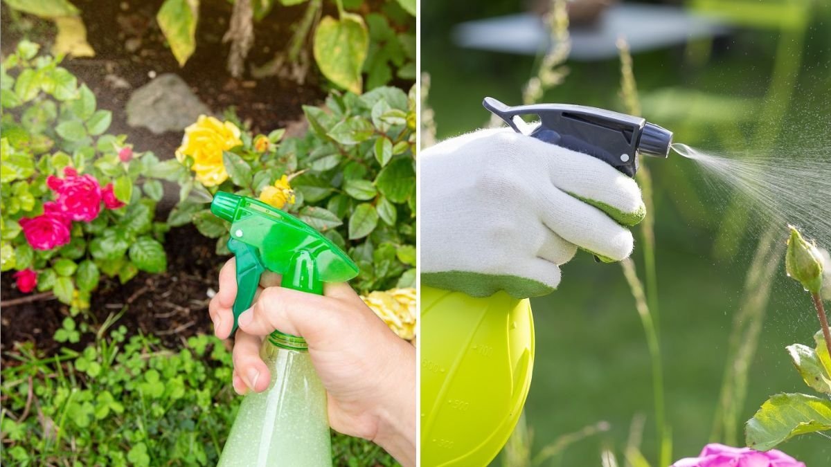 How to Use Vinegar in the Garden Safely