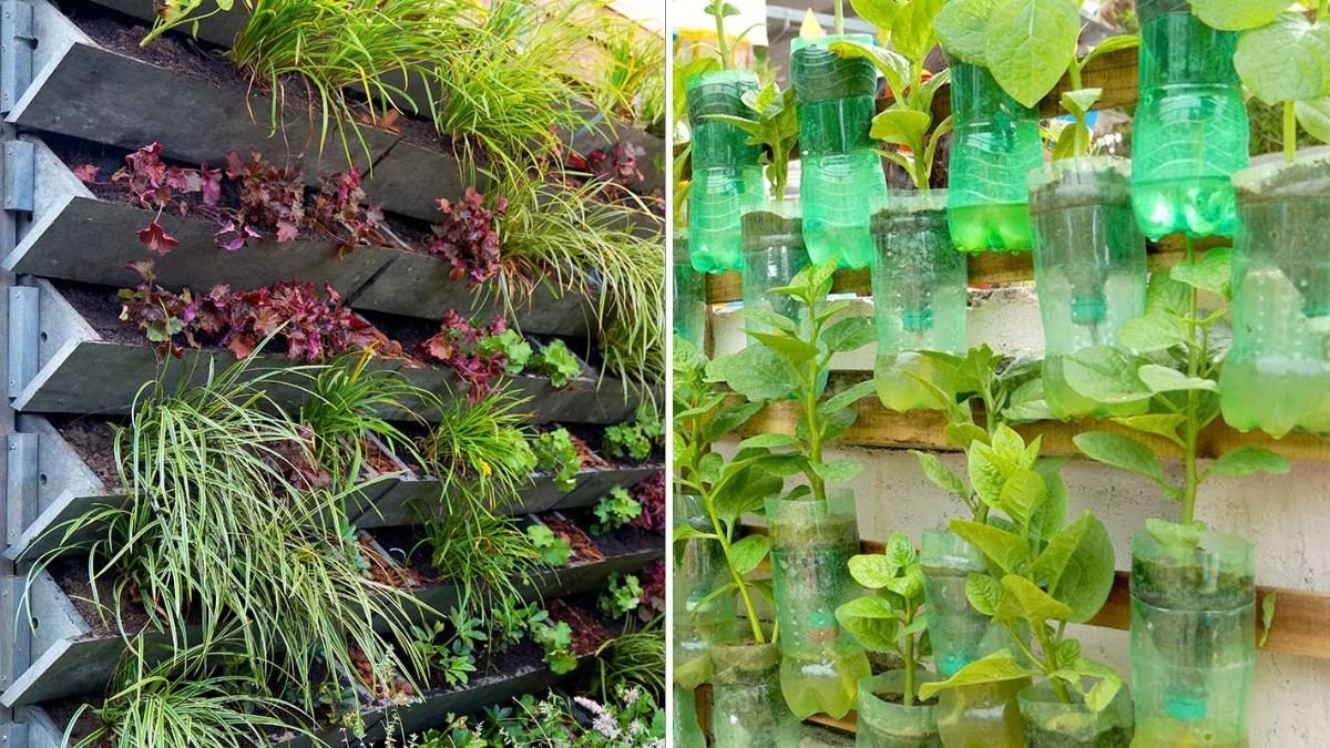 How to Build a Vertical Garden with Automatic Watering: The Smart, Space-Saving Way to Grow Fresh Vegetables at Home