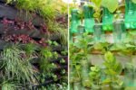 How to Build a Vertical Garden with Automatic Watering: The Smart, Space-Saving Way to Grow Fresh Vegetables at Home