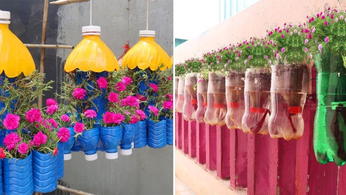 Purslane The Hidden Supergreen Americans Are Falling in Love With in 2025