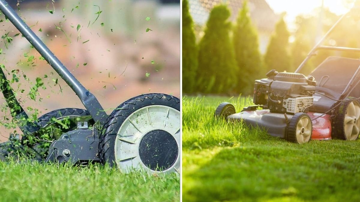 The Best Time of Day to Mow Your Grass, According to Lawn Pros