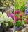 6 Shrubs That Are Perfect for Small Front Yards
