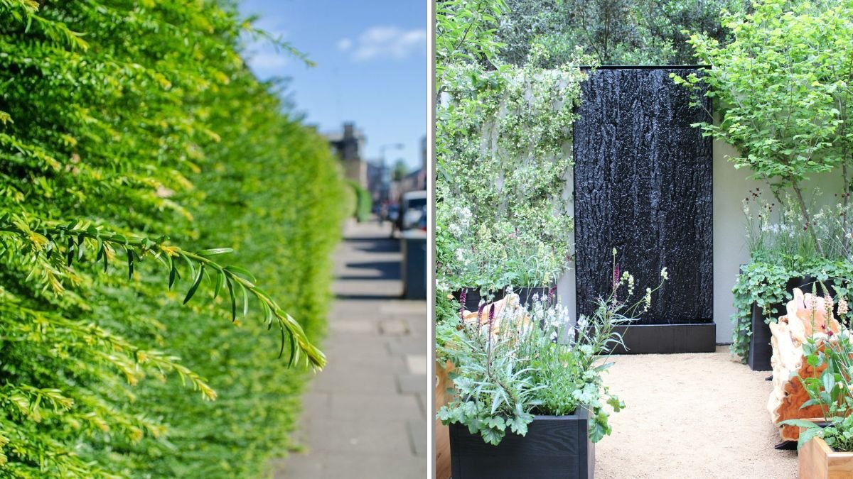 5 Ways to Block Noise in Your Backyard Naturally