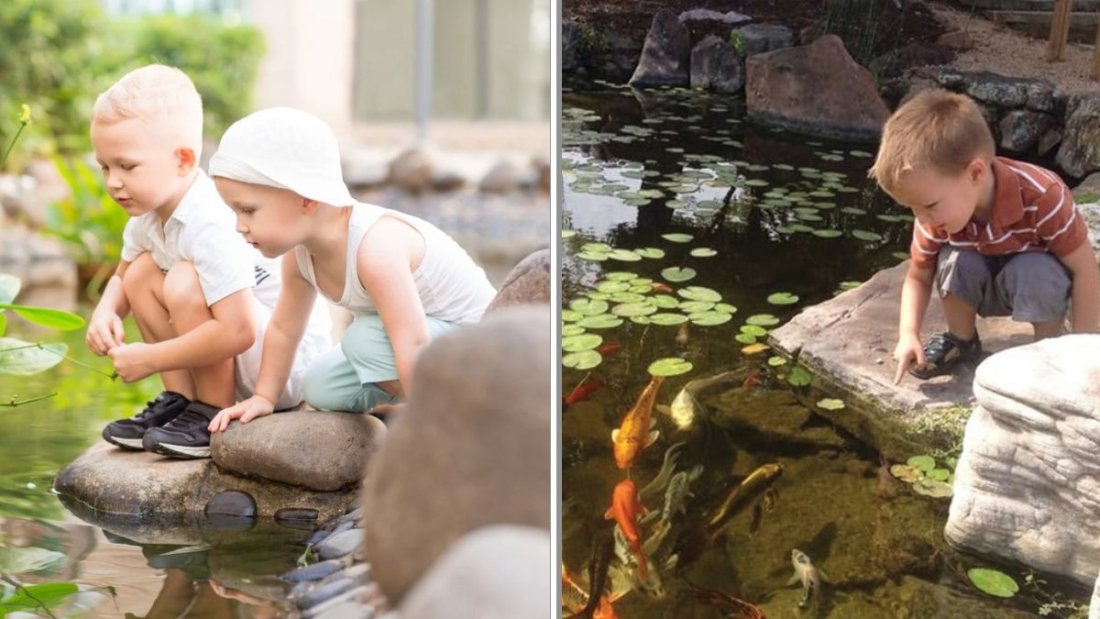 How to Keep Kids Safe Around Garden Ponds