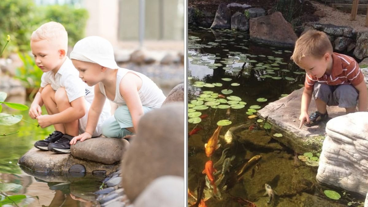 How to Keep Kids Safe Around Garden Ponds