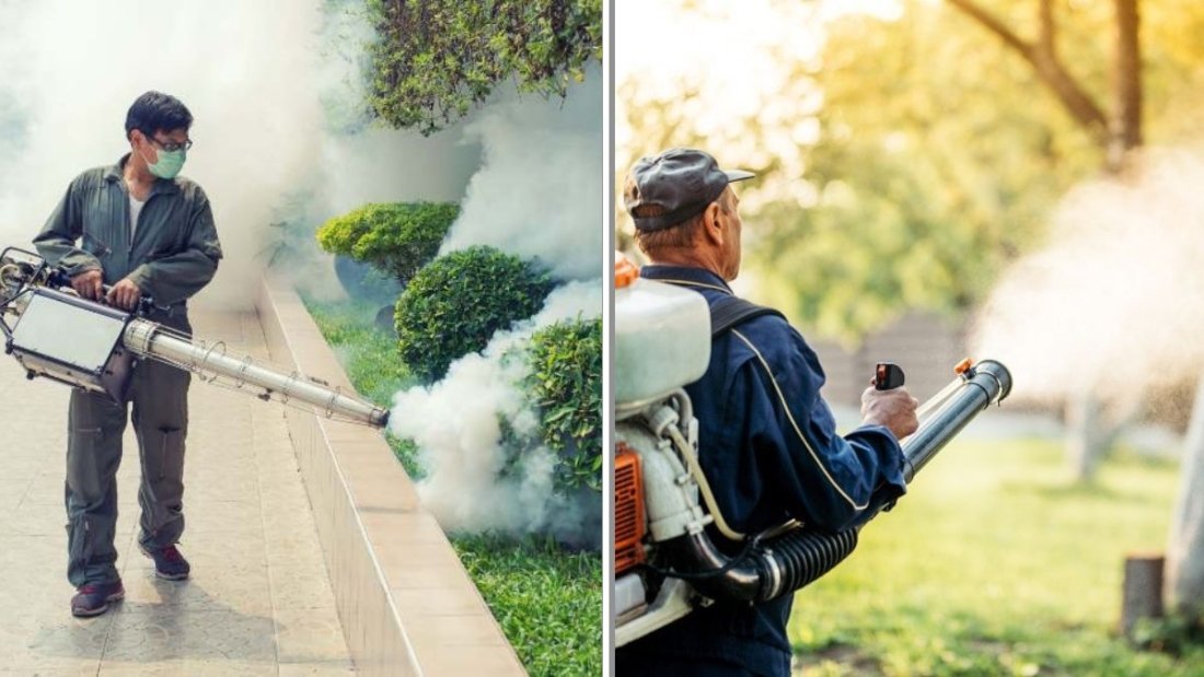 Should You Spray for Mosquitoes in Your Yard?